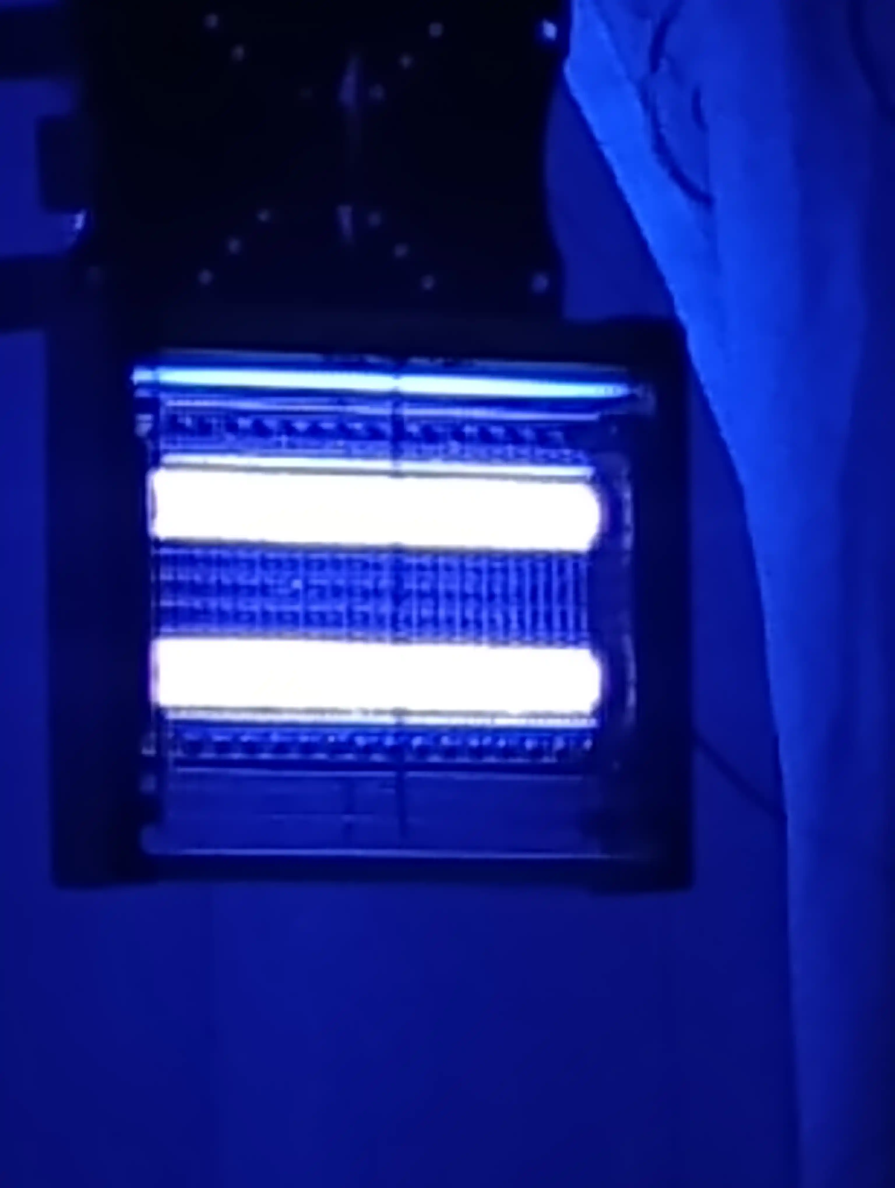 Elektr tuzoq, chivinlar, pashshalar va hasharotlar uchun