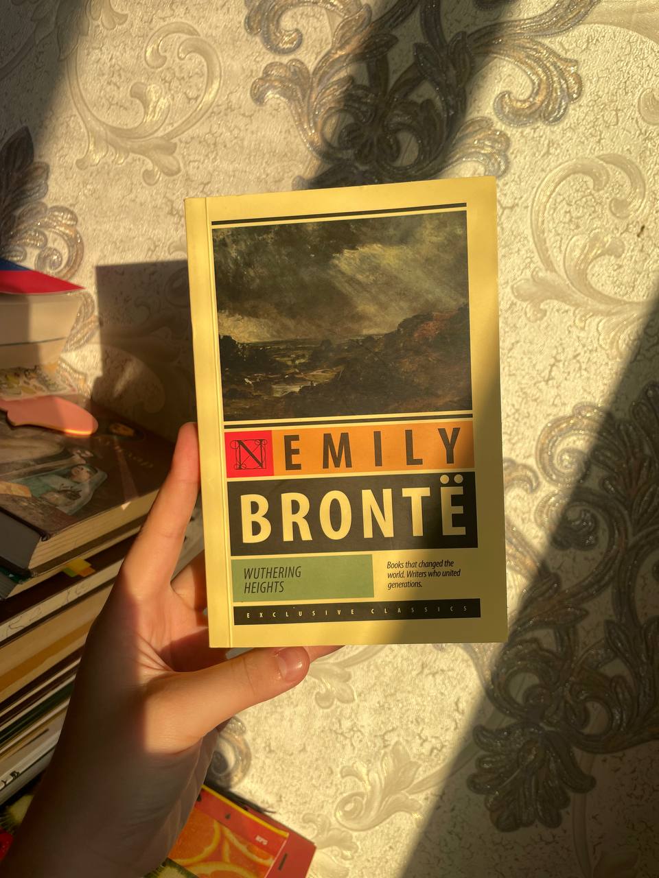 Wuthering Heights. Emily Bronte