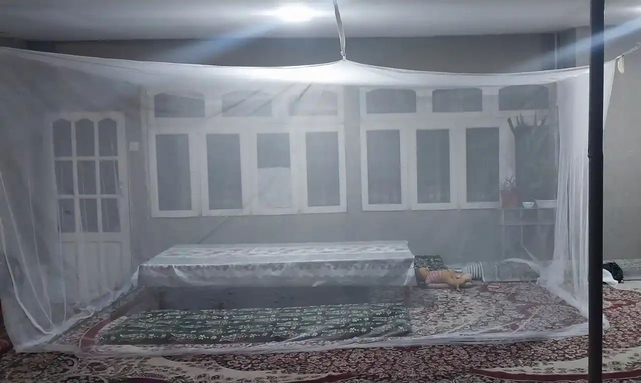 Pashshaxona, chivinxona, moskit tarmog'i, hashorotlardan ishonchli himoya