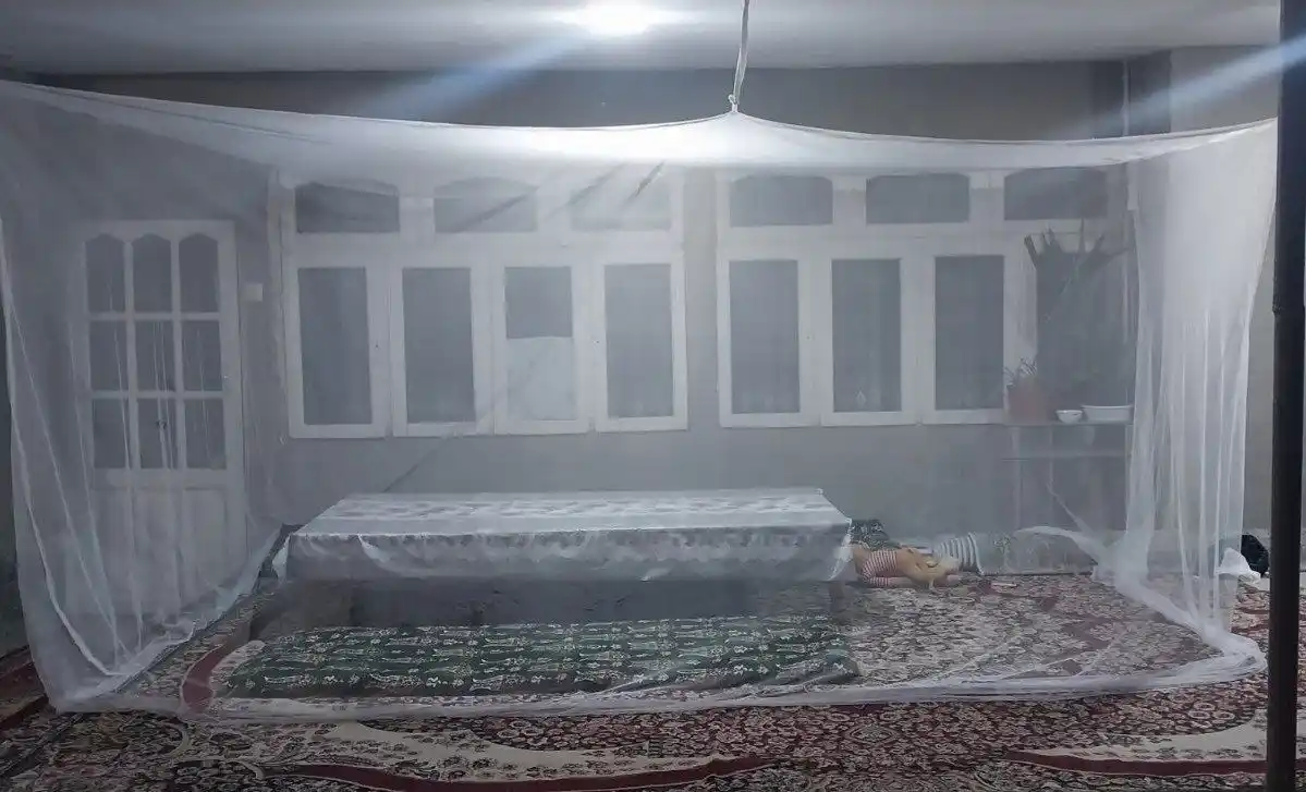 Pashshaxona, chivinxona, moskit tarmog'i, hashorotlardan ishonchli himoya