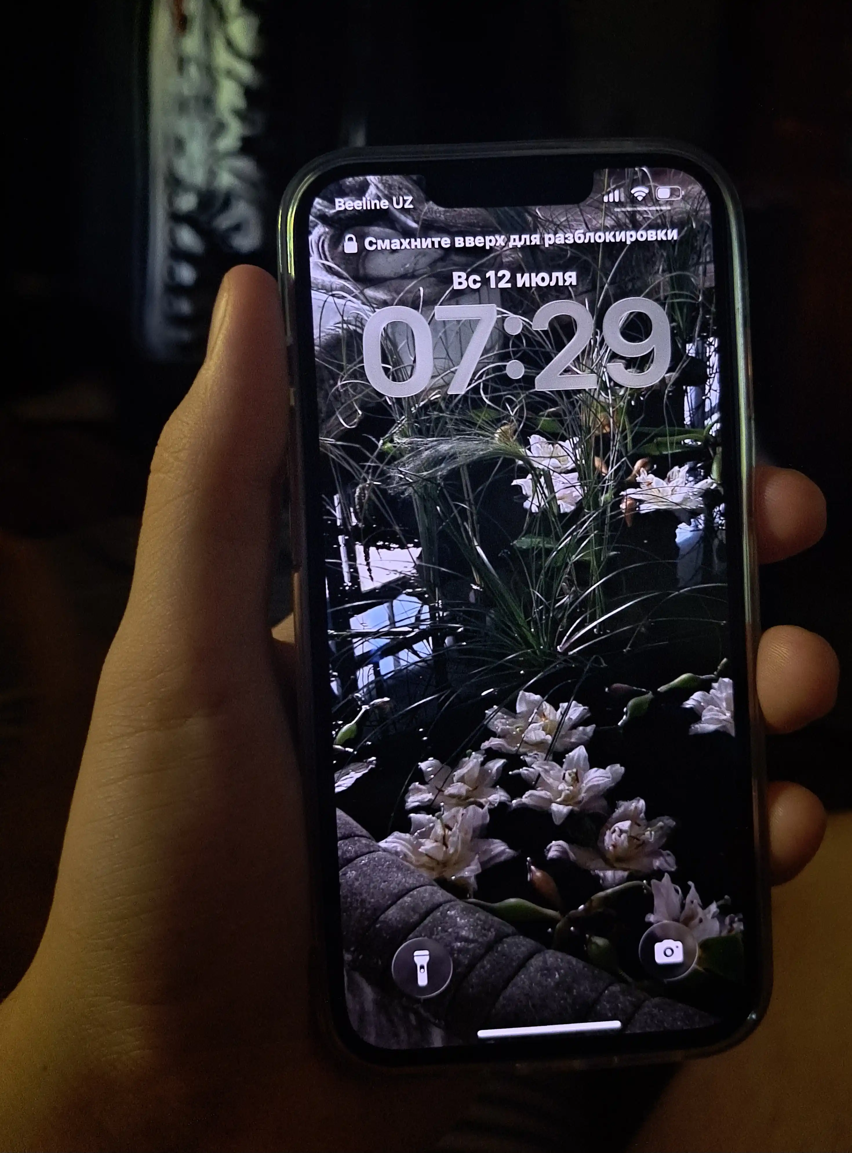 Smartfon Apple iPhone 14, 128/256 GB, SIM+sim, chehol va shisha sovg'a sifatida