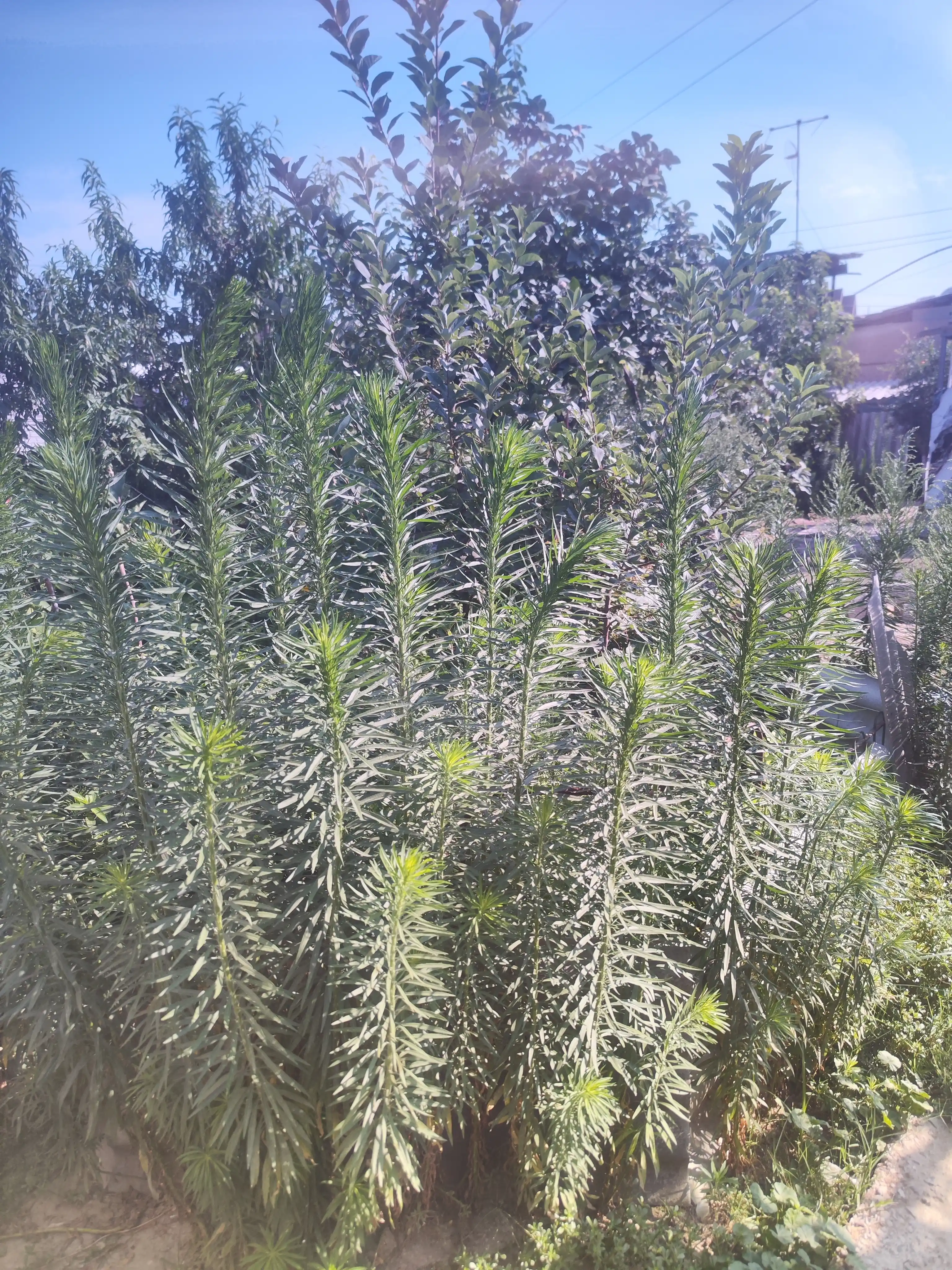 Ko'zoynak quyoshdan himoya qiluvchi, erkaklar uchun