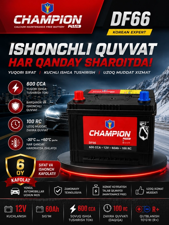 Chempion 60 Ah - 