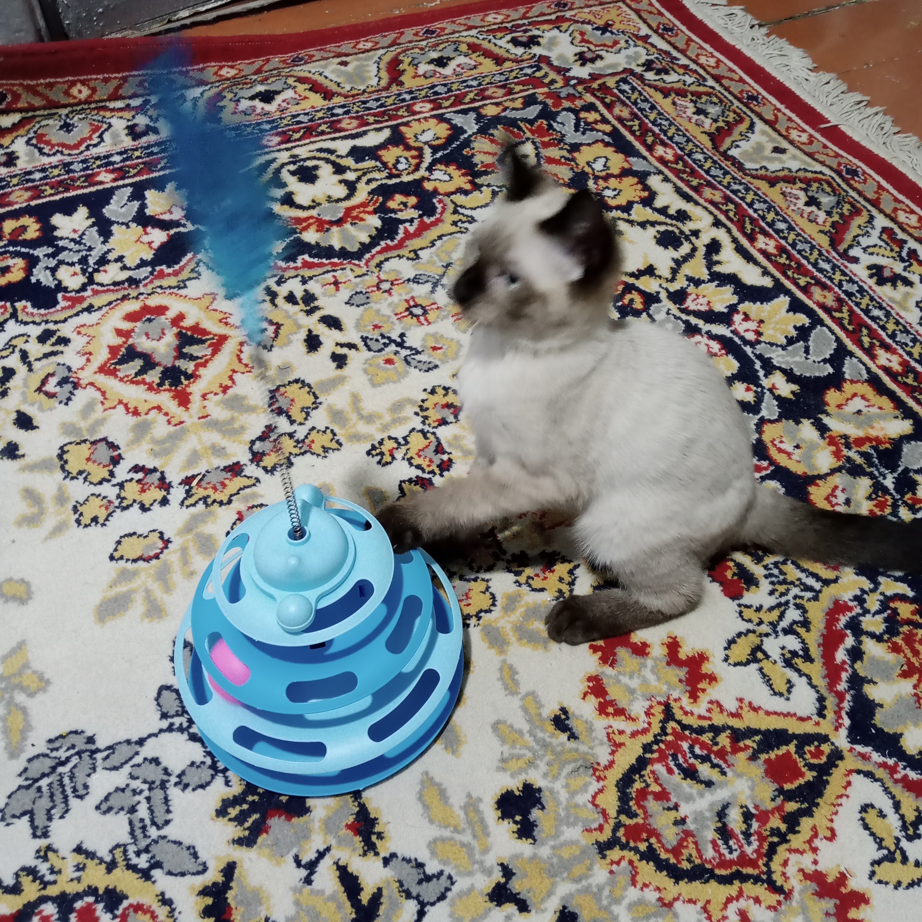 Игрушка для кота