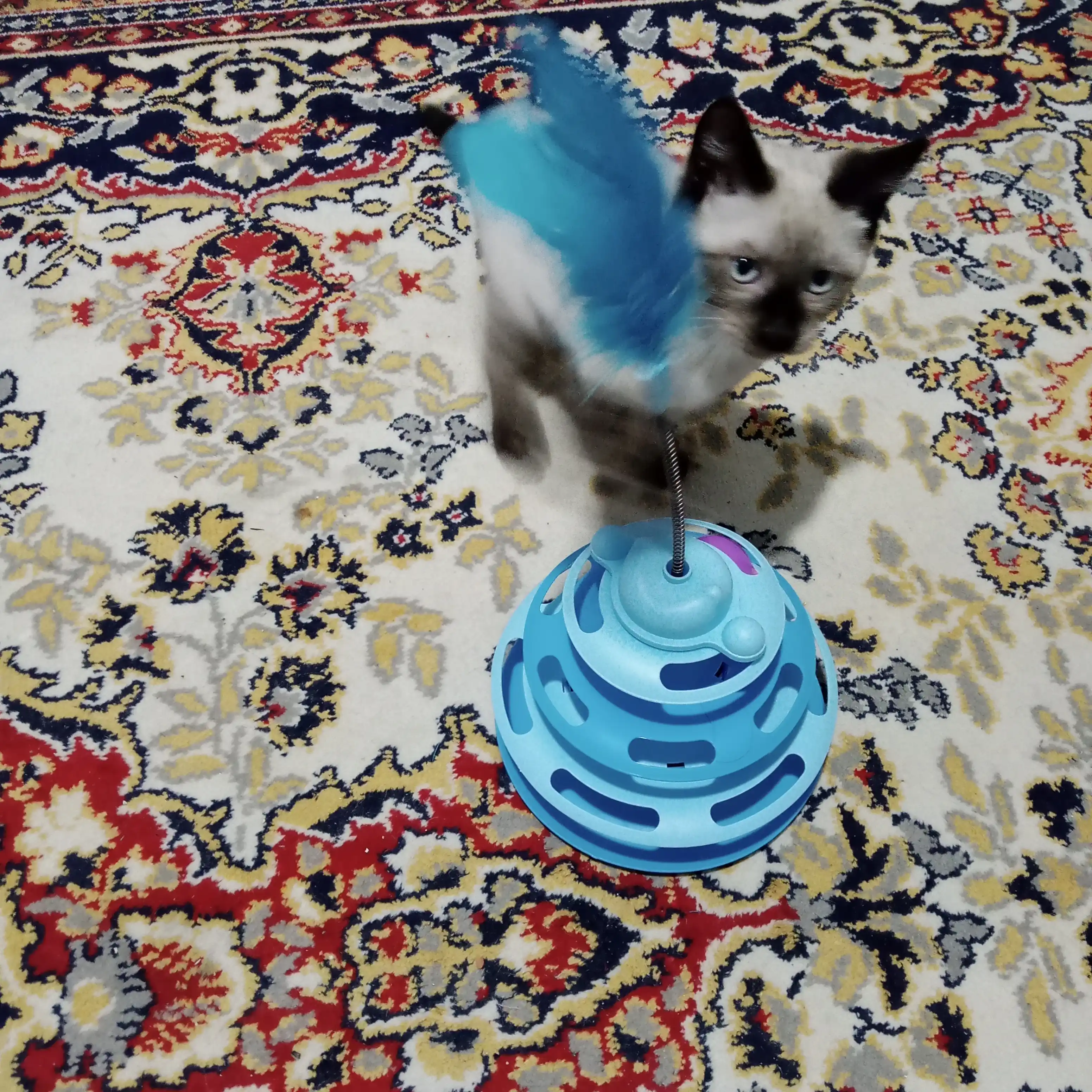 Игрушка для кота