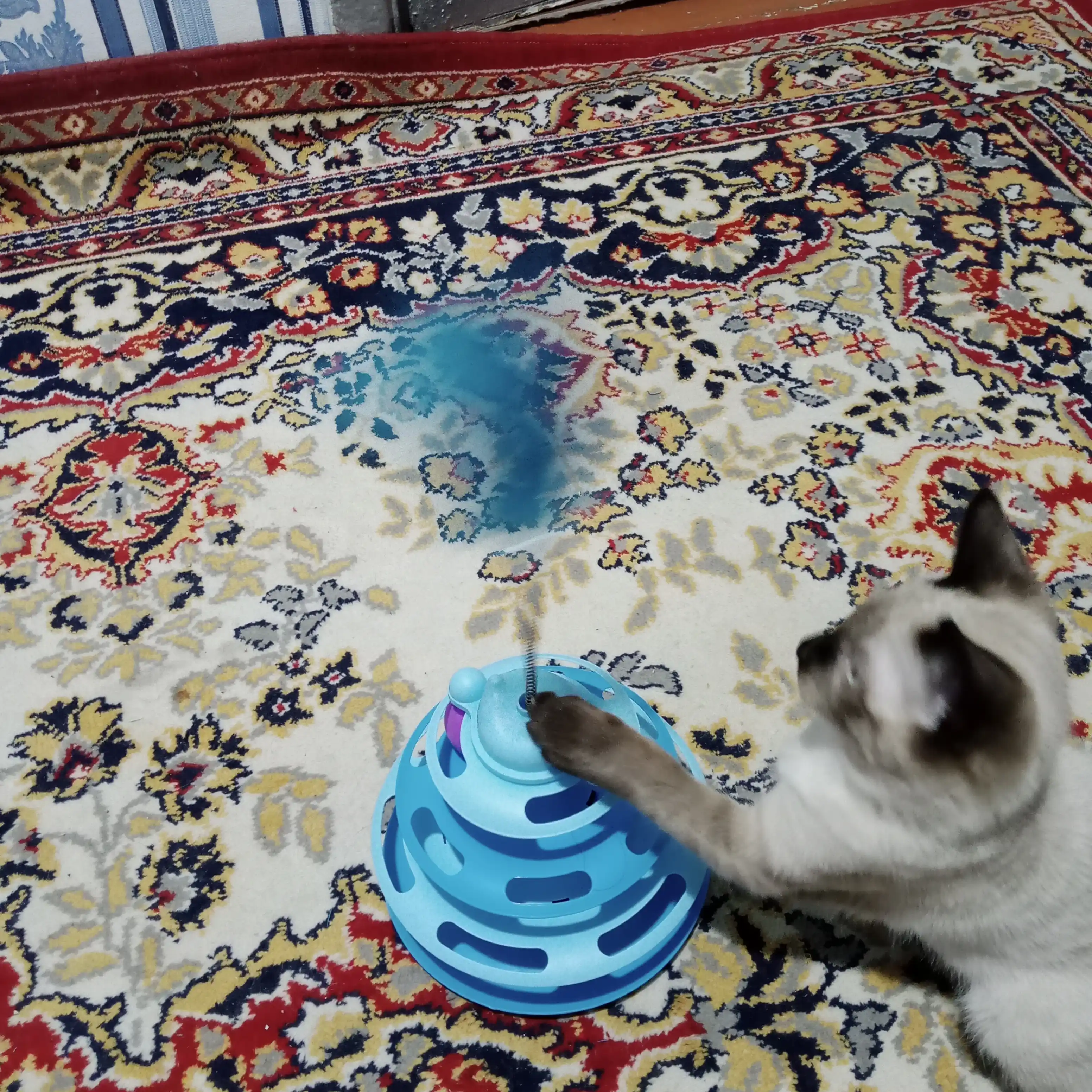 Игрушка для кота