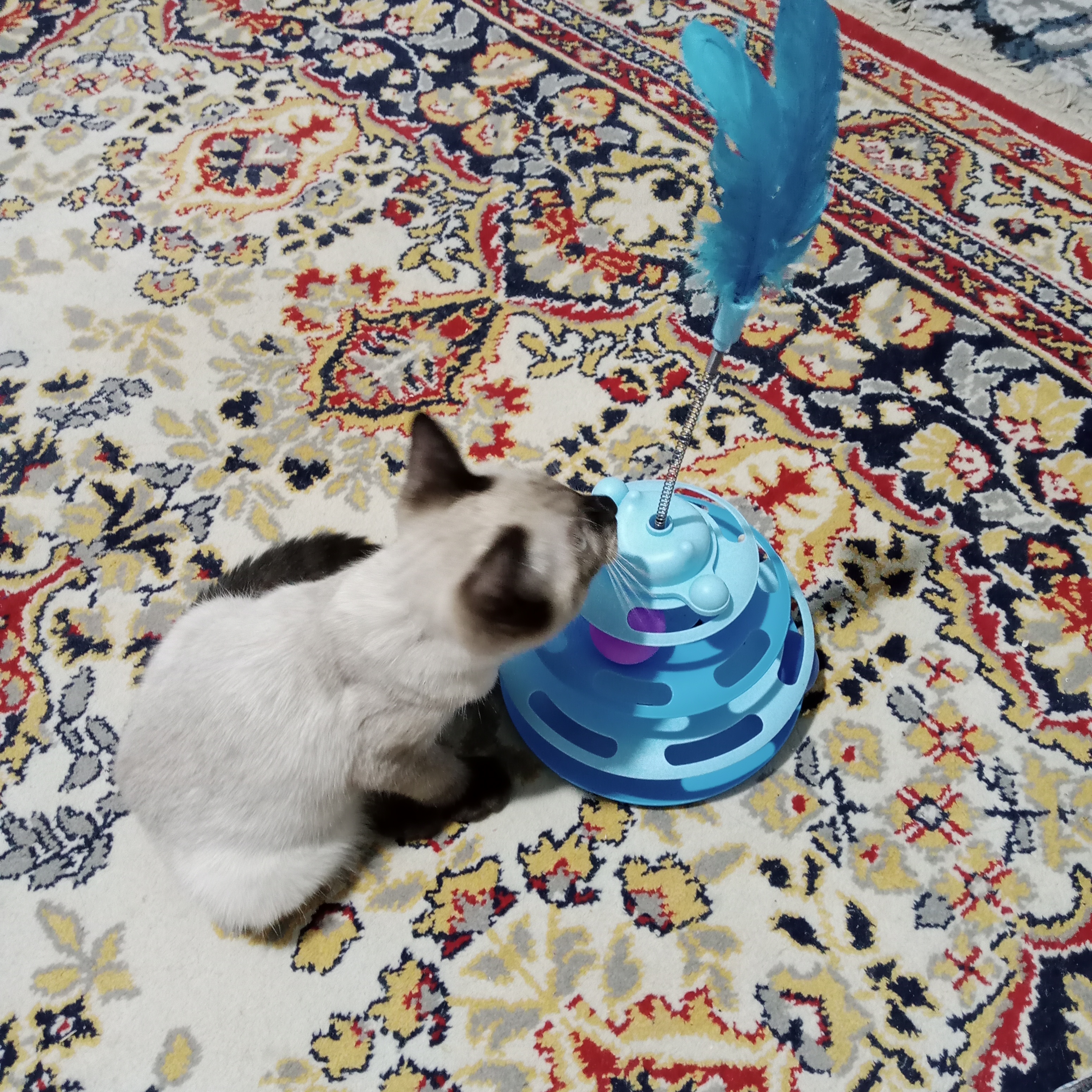 Игрушка для кота