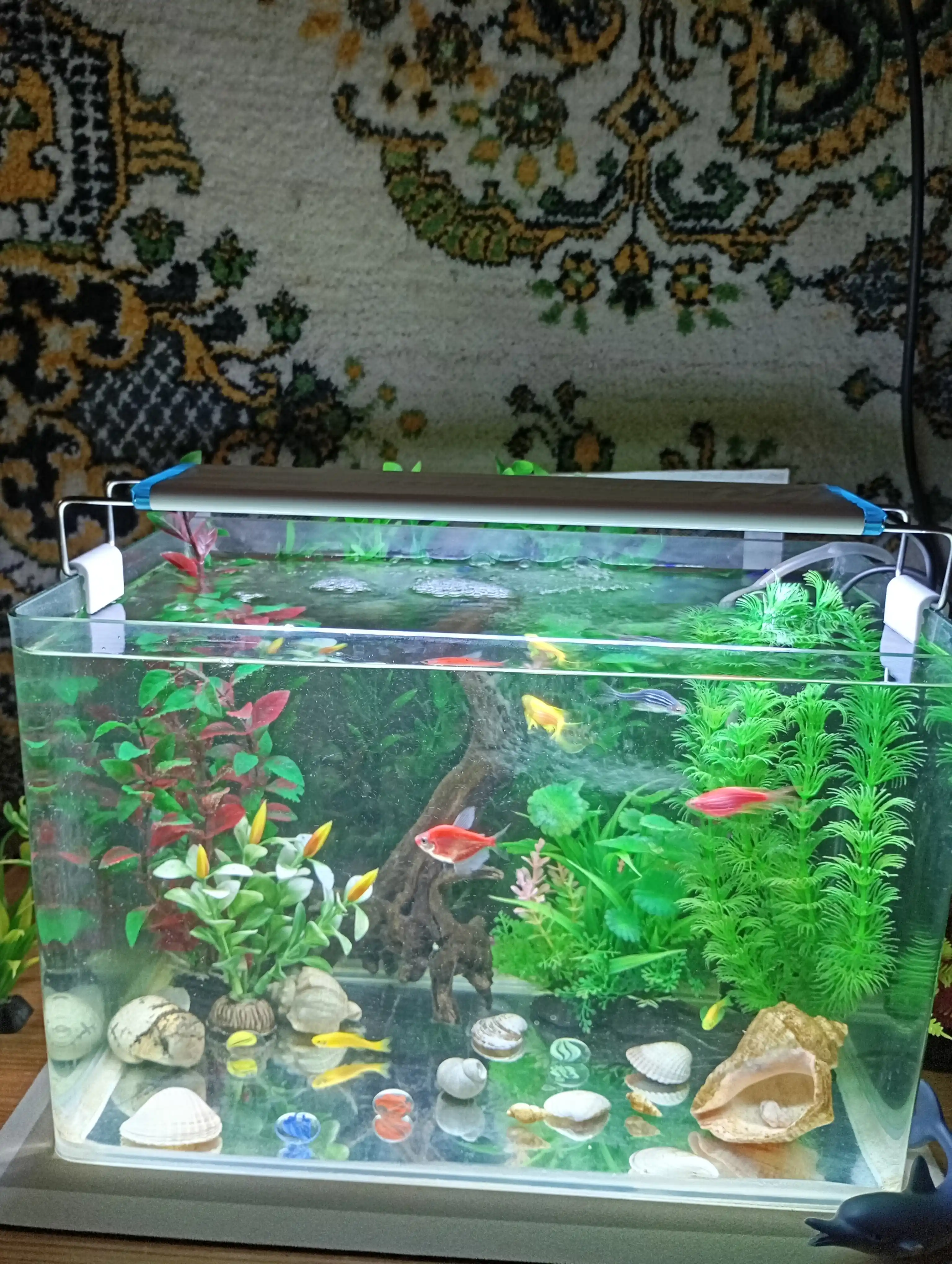 Akvarium uchun kengaytirilgan spektrli svetodiodli chiroq LED-MS, 30, 50 sm