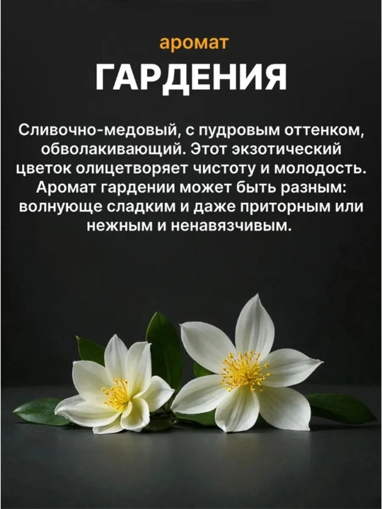 SAMELI Avtomobil osvijiteli va uy uchun geleviy aromatizator, havo xushbo'ylantirgich, 220