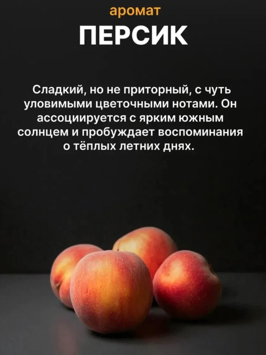 SAMELI Avtomobil osvijiteli va uy uchun geleviy aromatizator, havo xushbo'ylantirgich, 220 - 