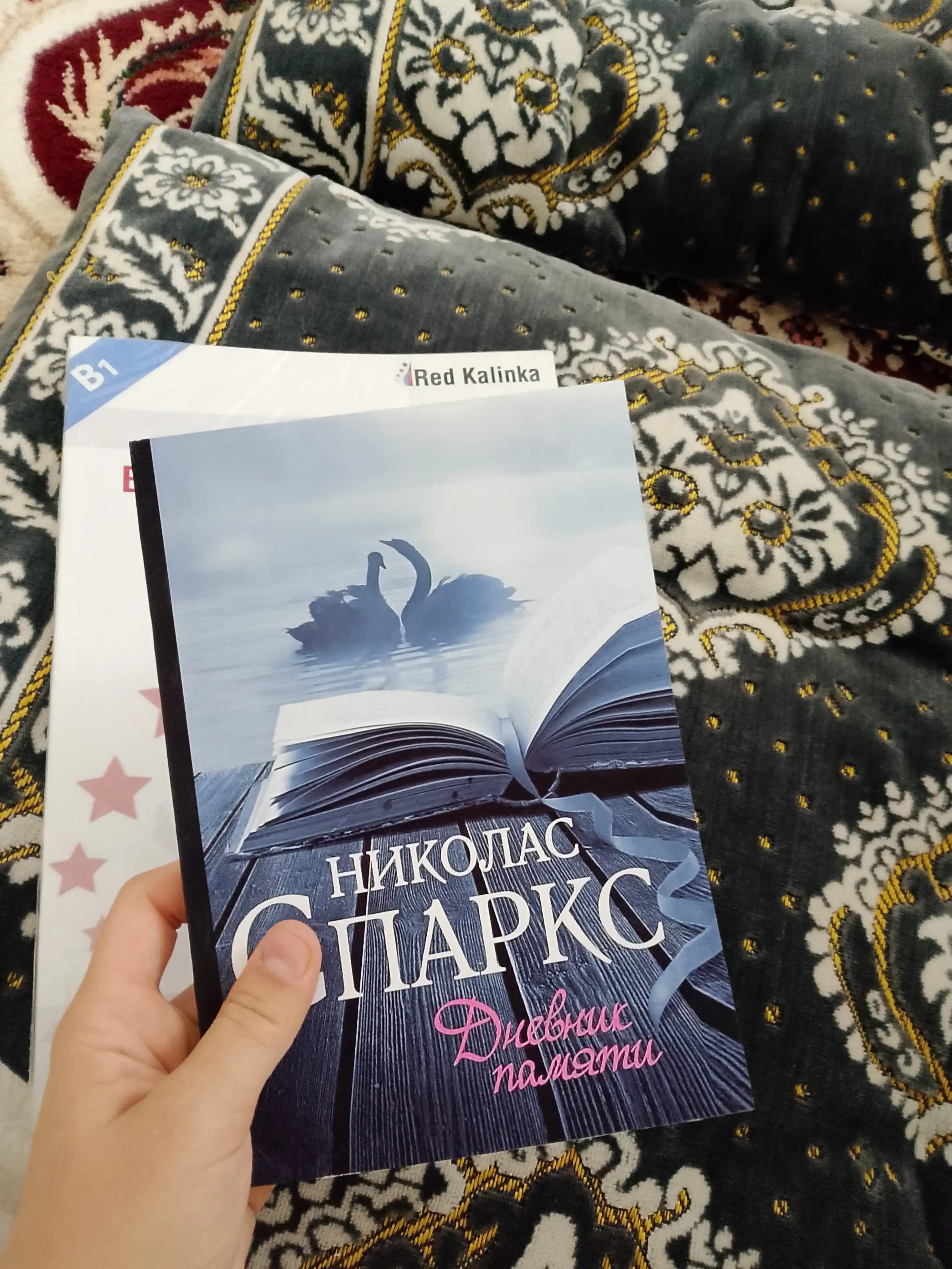 Дневник памяти, Николас Спаркс