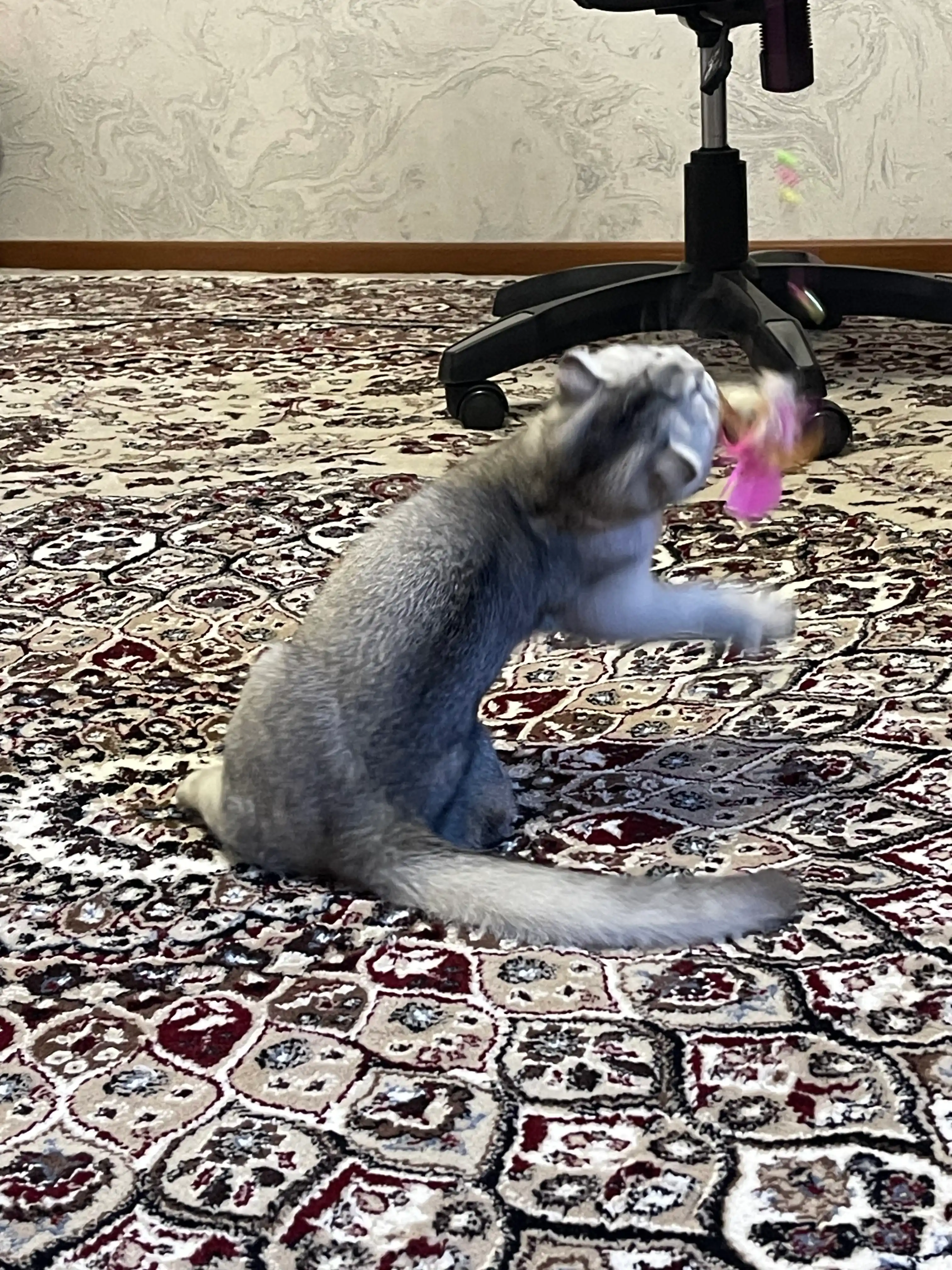 Игрушка для кошек, удочка с пером и колокольчиком
