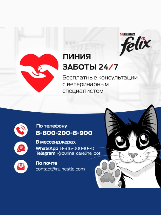 Felix mushukchalar uchun quruq ovqat, tovuq goshtli 600 gr