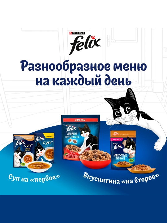 Felix mushukchalar uchun quruq ovqat, tovuq goshtli 600 gr