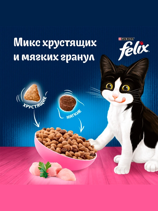 Felix mushukchalar uchun quruq ovqat, tovuq goshtli 600 gr