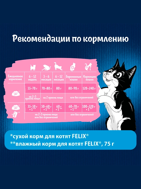 Felix mushukchalar uchun quruq ovqat, tovuq goshtli 600 gr