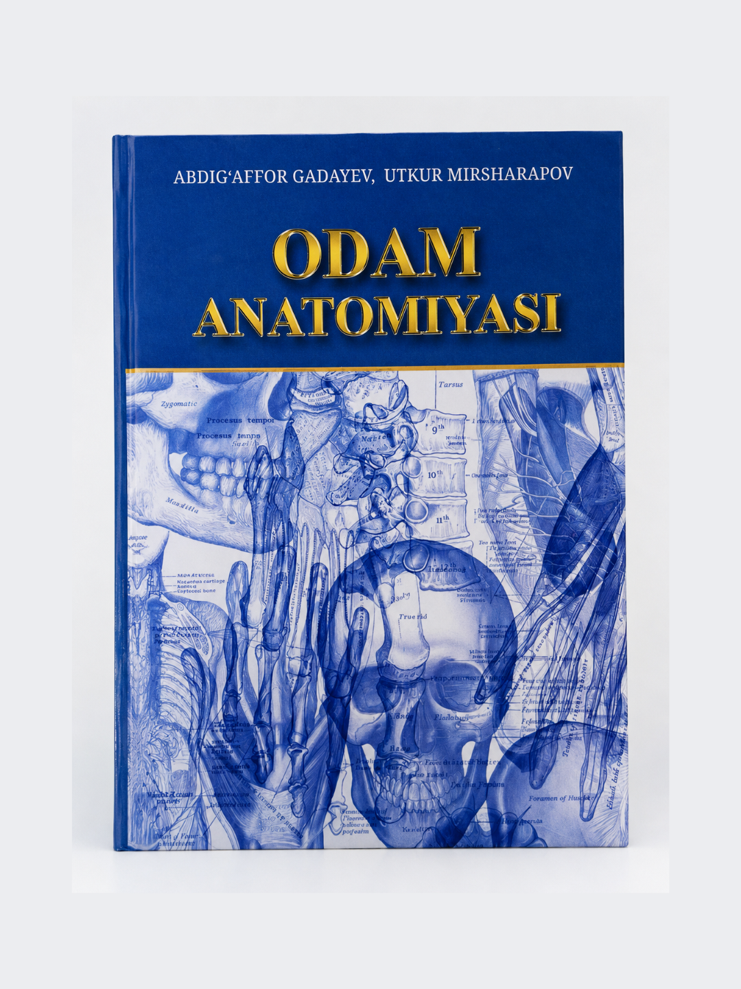 Тиббиёт китоби, Одам Анатомийаси, Абдуг'аффор Гадаyев, А4 Анатомийа