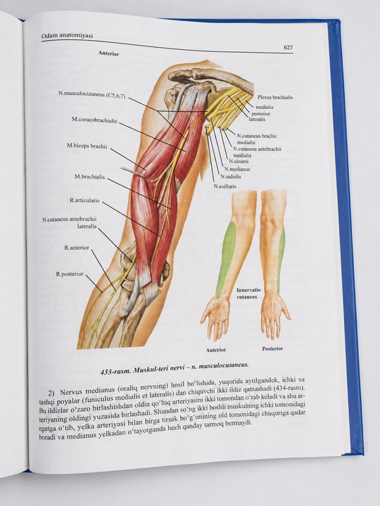 Tibbiyot kitobi, Anatomiya, Ichki kasalliklar, Ichki kasalliklar propedevtikasi A. Gadayev