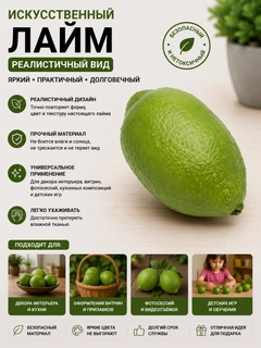 Лайм