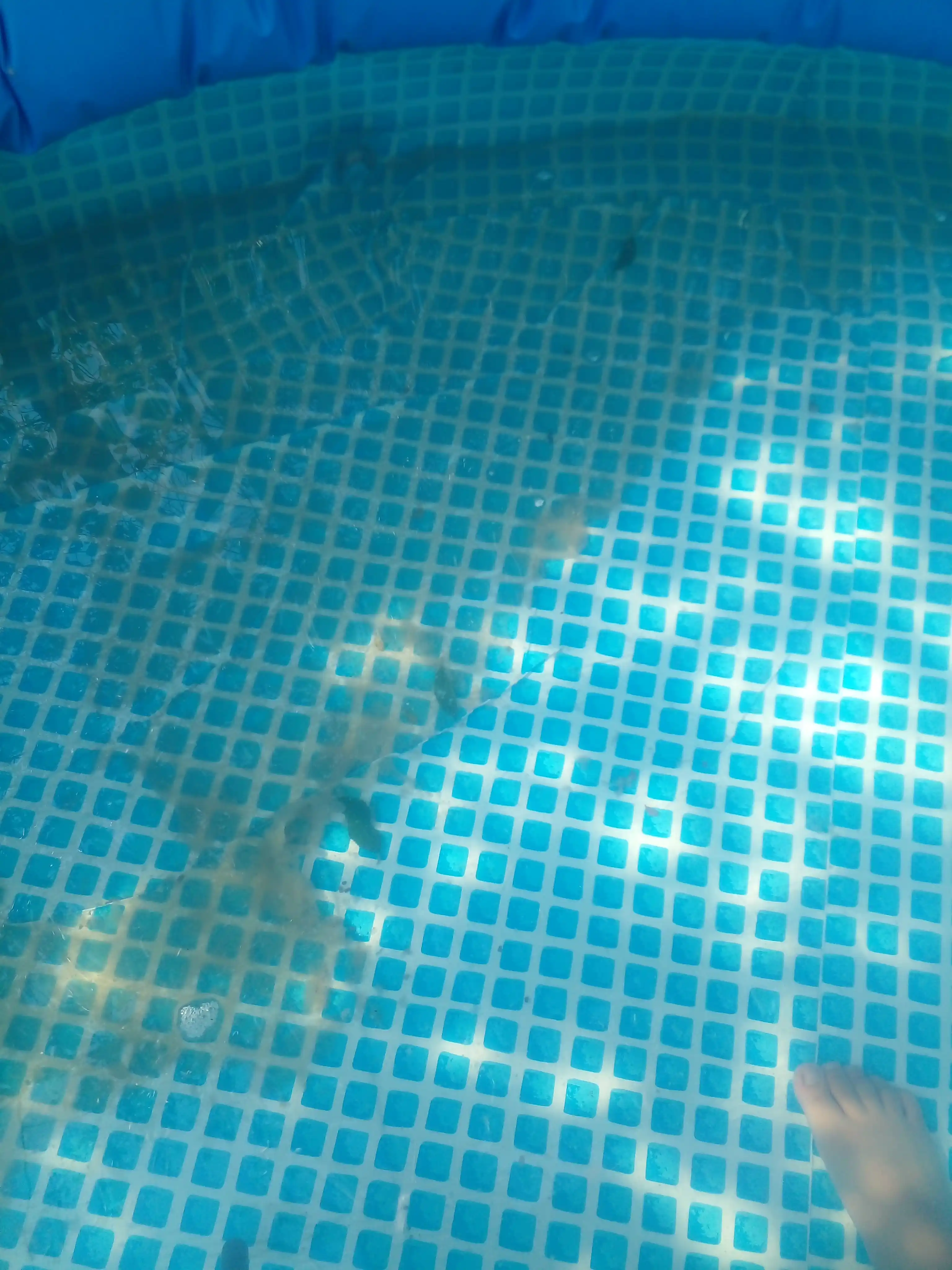 Средство для осветления и устранения загрязнений в воде в бассейне, Альгицид, Флокулянт