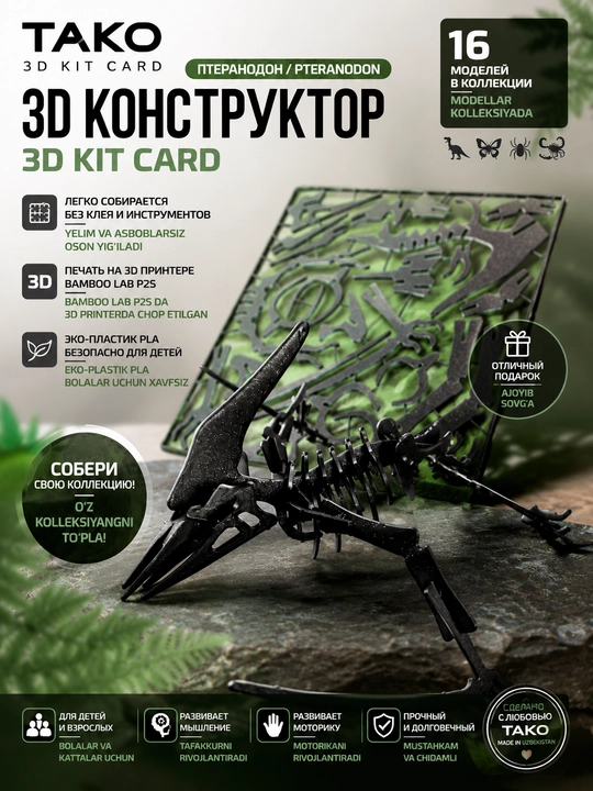 3D Pazl Konstruktor Kit Card "Pteranodon," yig‘ma model-suvenir, TAKO - 