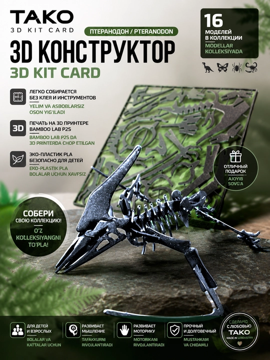 3D Pazl Konstruktor Kit Card "Pteranodon," yig‘ma model-suvenir, TAKO - 