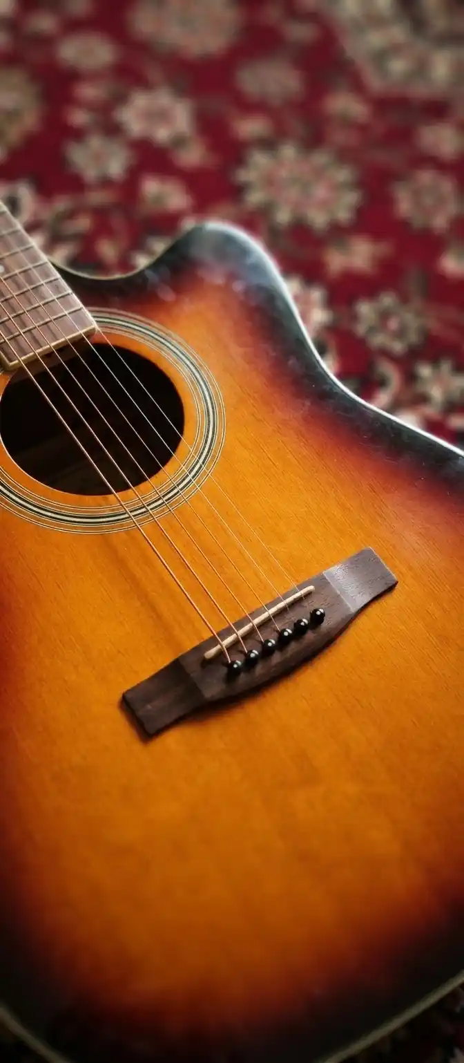 Akustik gitara uchun torlar, 6 dona to'plam va E-1  B-2 torlar