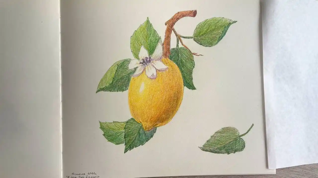 Карандаши цветные, 24 цветов, EC131-24 Deli, 131-24-EC