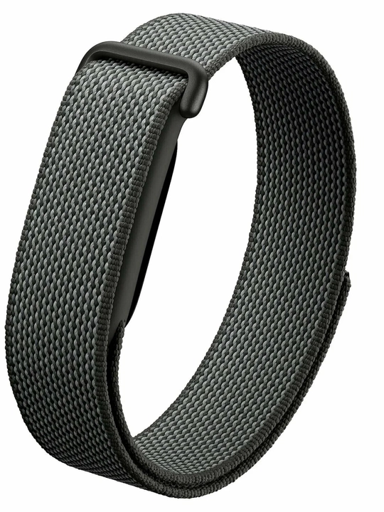 Google Fitbit Air