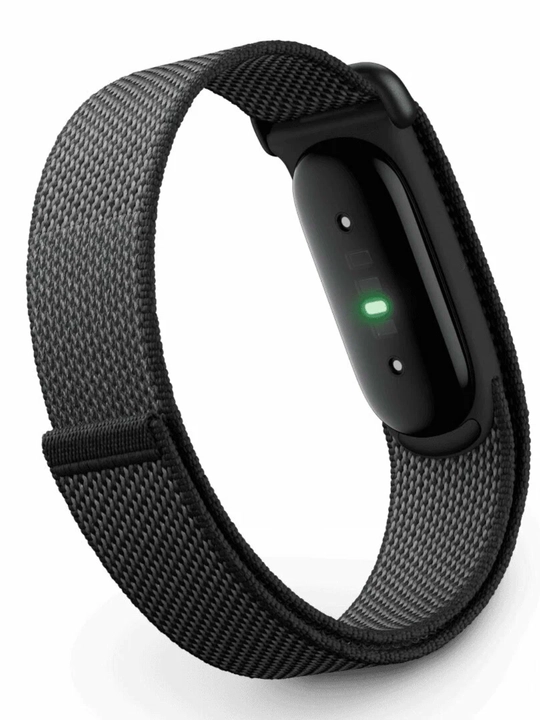 Google Fitbit Air