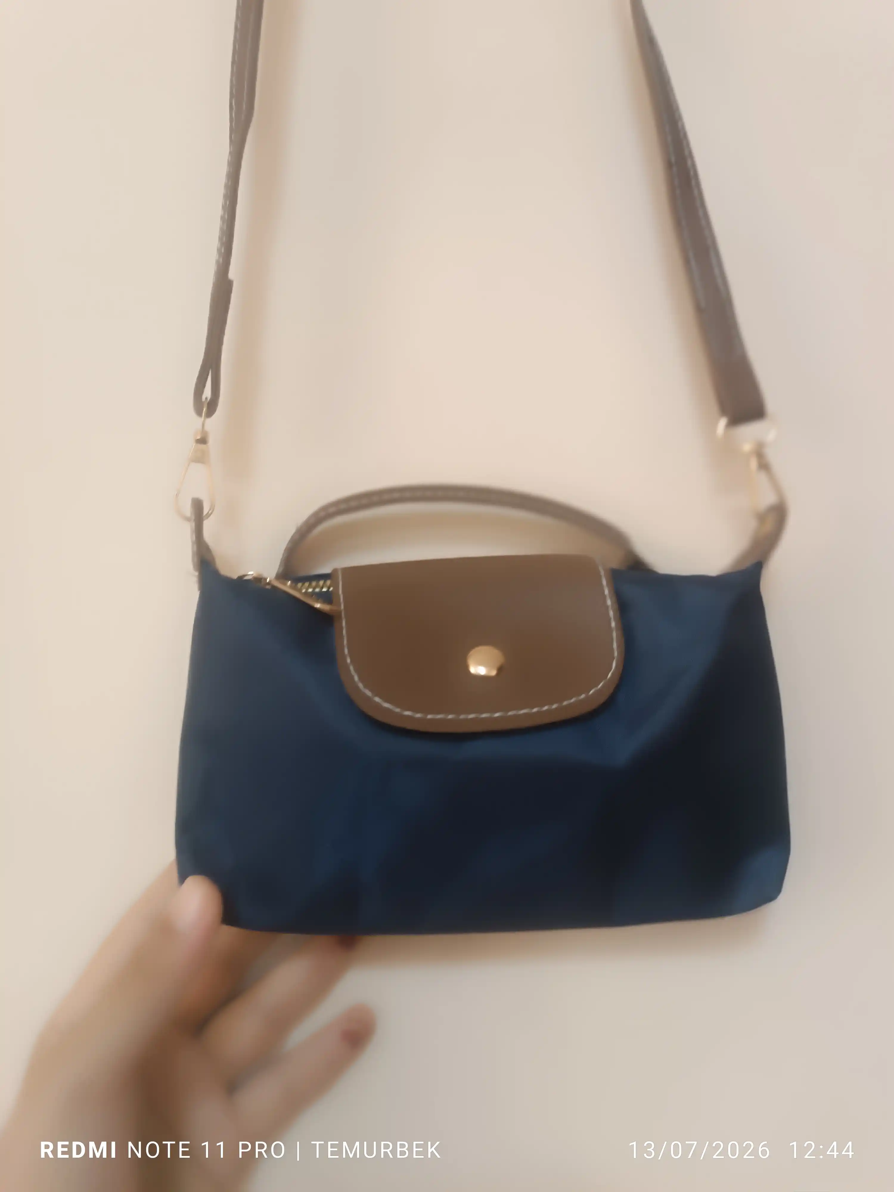 Mini Longchamp uslubidagi ayollar sumkasi, ixcham krossbodi va kosmetika sumkachasi