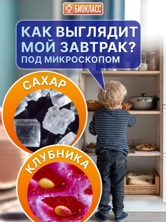Bolalar uchun raqamli mikroskop-lupa, elektron mikroskop, kattalashtiruvchi oyna