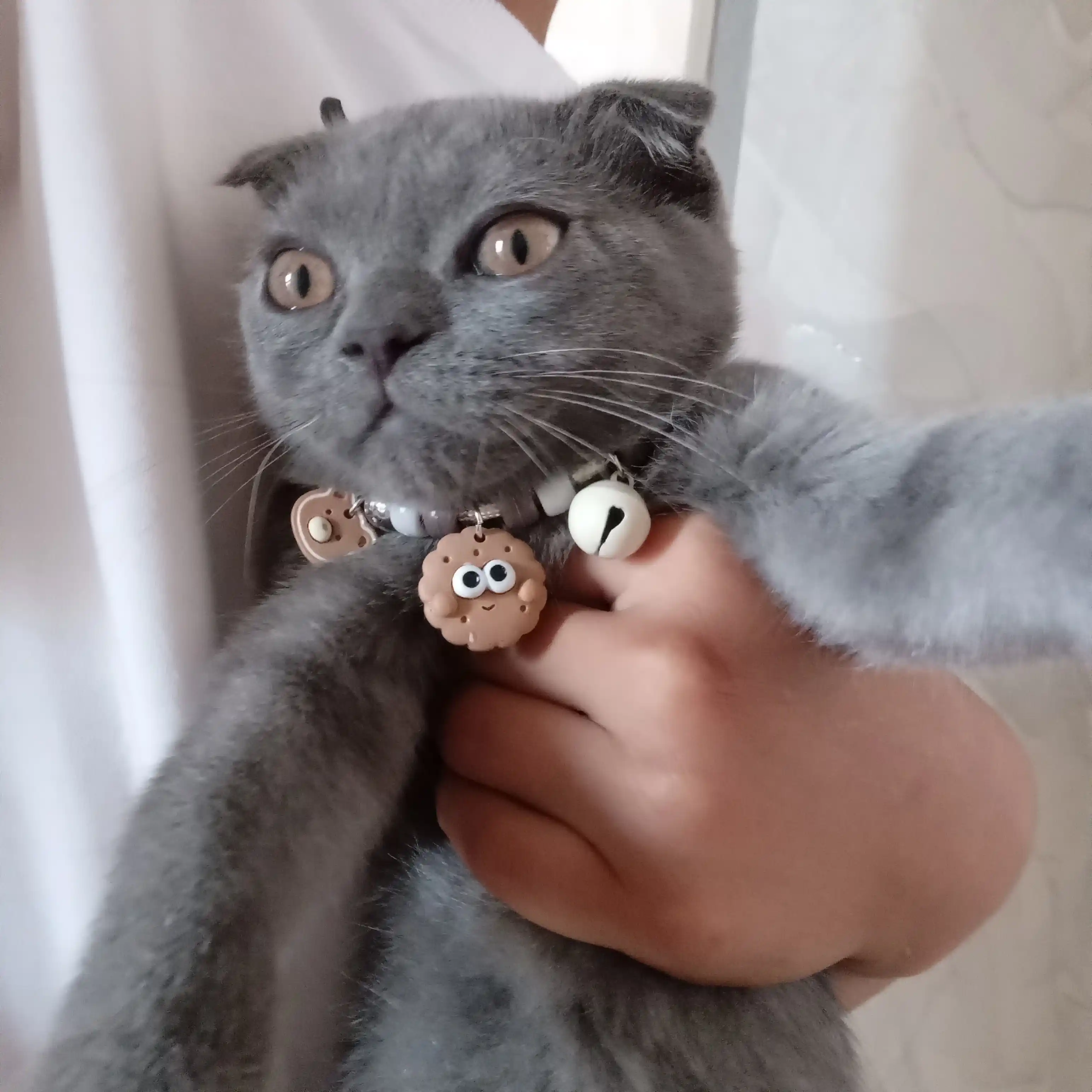Ошейник для кошек и собак