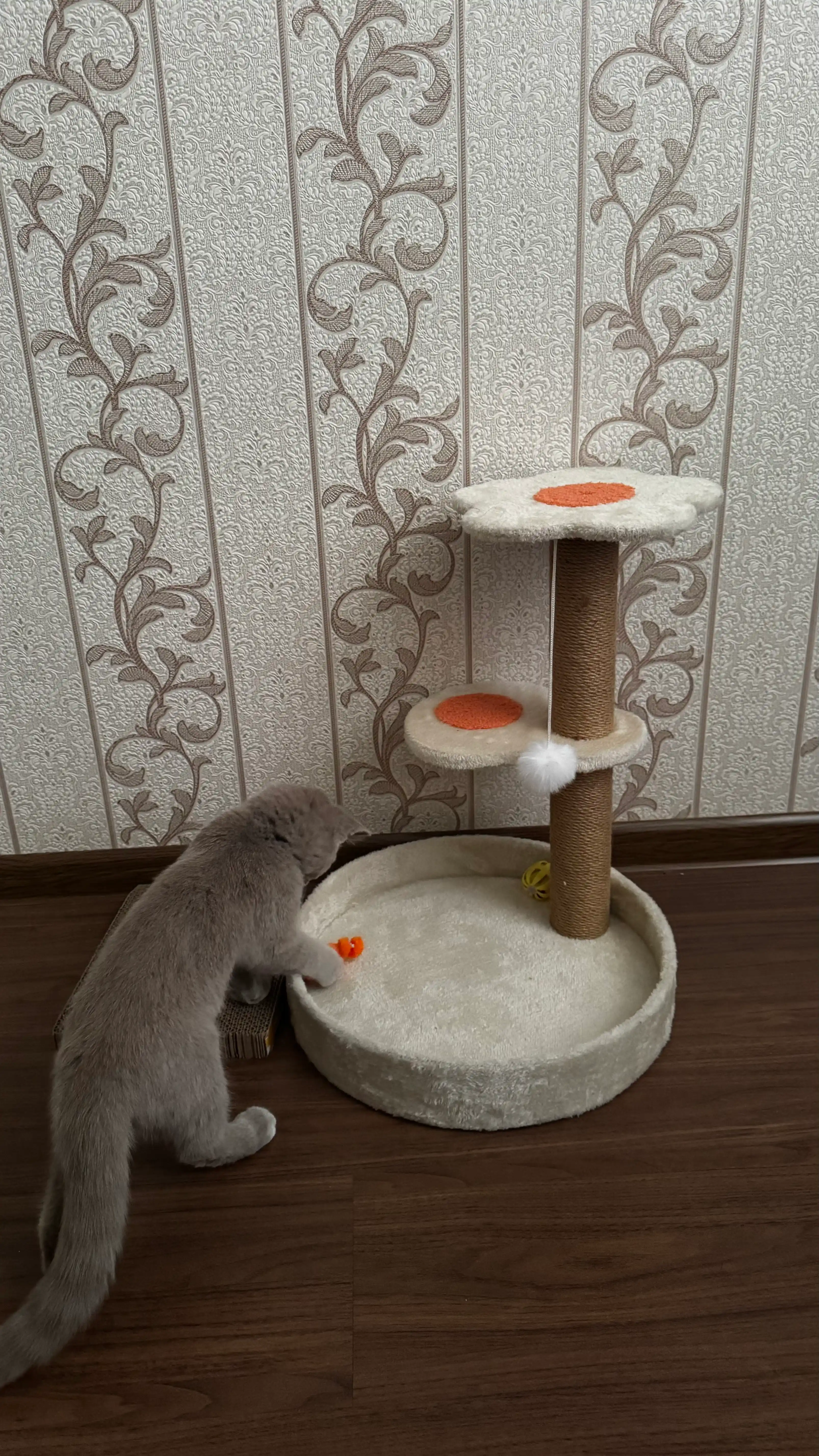 Игровой комплекс, для кошек, с когтеточкой, лежанка, домик для кошек