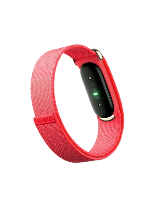 Google Fitbit Air