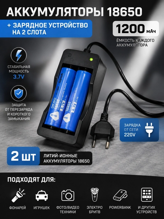 Аккумуляторы 18650 1200 мАч 2 шт с зарядным устройством 220 В на 2 слота