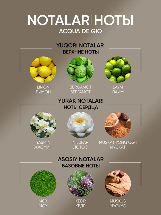 Erkaklar uchun parfyumlar Acqua di Gio, 120 ml