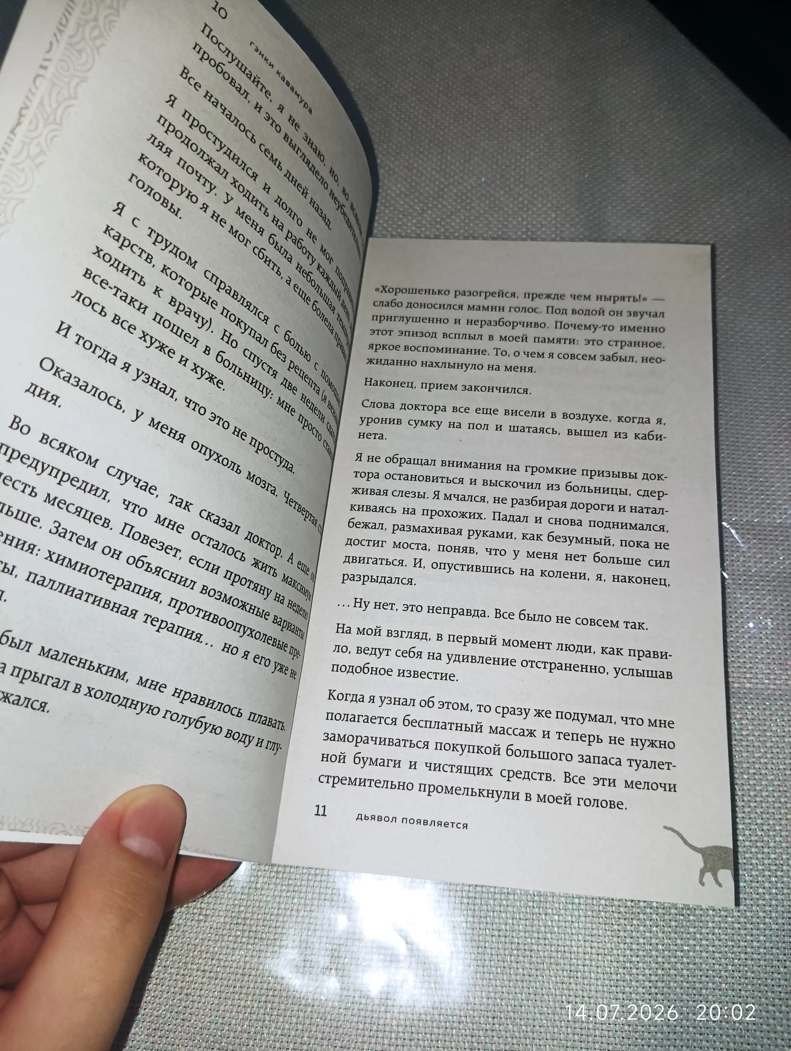 Agar dunyoda mushuklar yo‘qolib ketsa (poket)|Hayot va muhabbat haqidagi yapon bestselleri