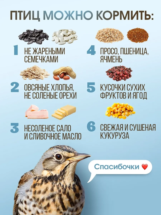 Кормушка для птиц под пластиковые бутылки, набор из 2 шт, бутылка не входит в комплект