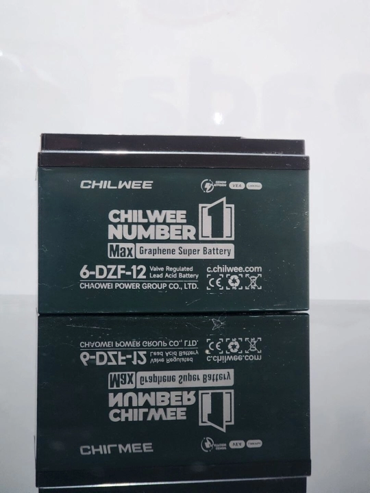 Аккумуляторы Chilwee 6-DZF 12B12 Ач - 