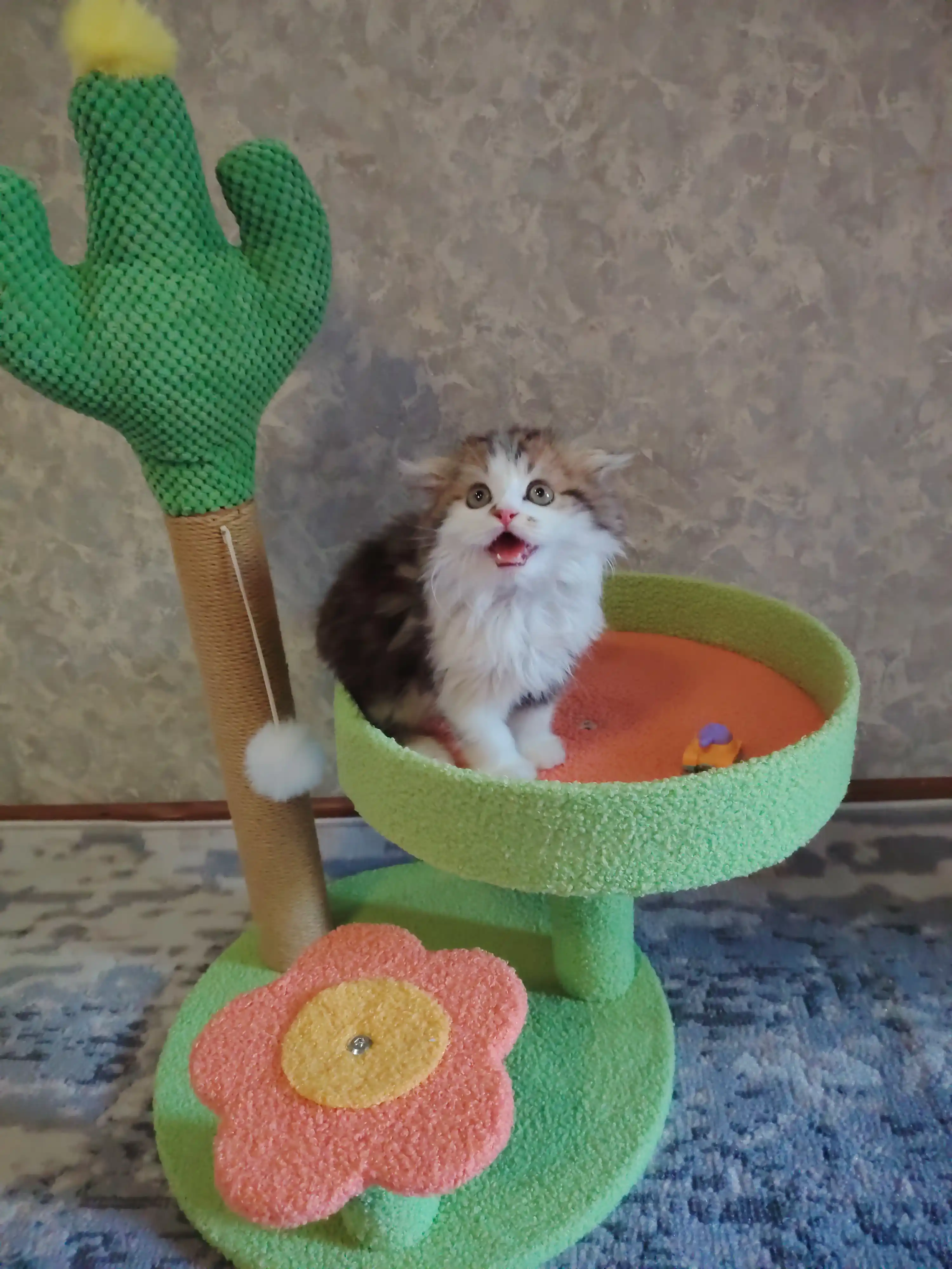 Игровой комплекс, для кошек, с когтеточкой, лежанка, домик для кошек