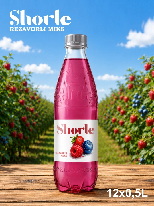 SCHORLE Yagodali aralash 0,5 l PET × 12 dona