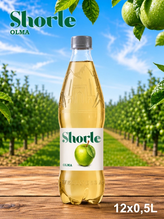 SCHORLE Olma 0,5 l PET × 12 dona