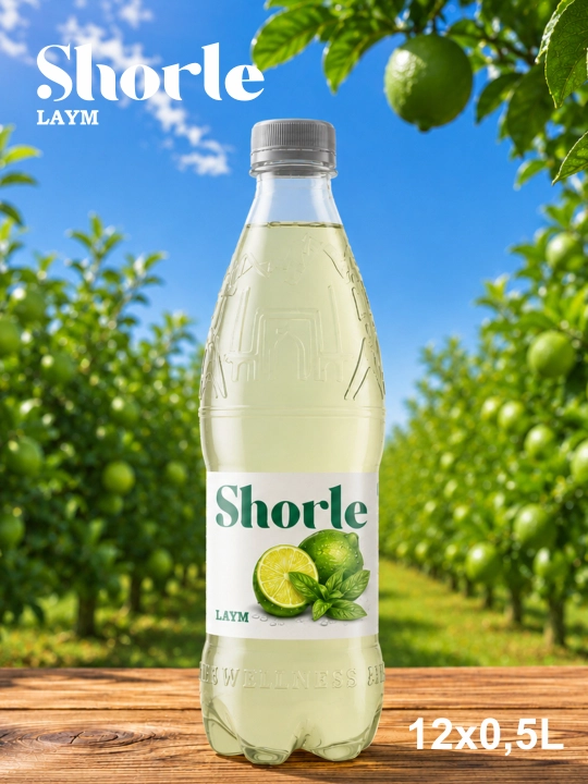 SCHORLE Laym 0,5 l PET × 12 dona
