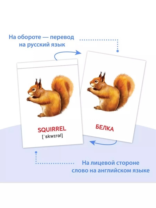 Набор развивающих книжек и карточек для малышей по методике Гленна Домана,(8 шт, 64 слова)