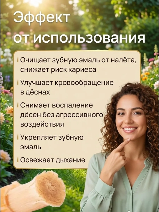 Misvok tabiiy tish cho'tkasi (Salvadora Persica) — 1, 2 yoki 5 dona