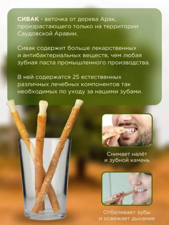 Misvok tabiiy tish cho'tkasi (Salvadora Persica) — 1, 2 yoki 5 dona