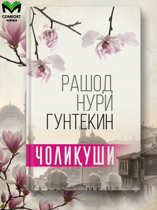 Choliqishi - Rashod Nuri Guntekin - 