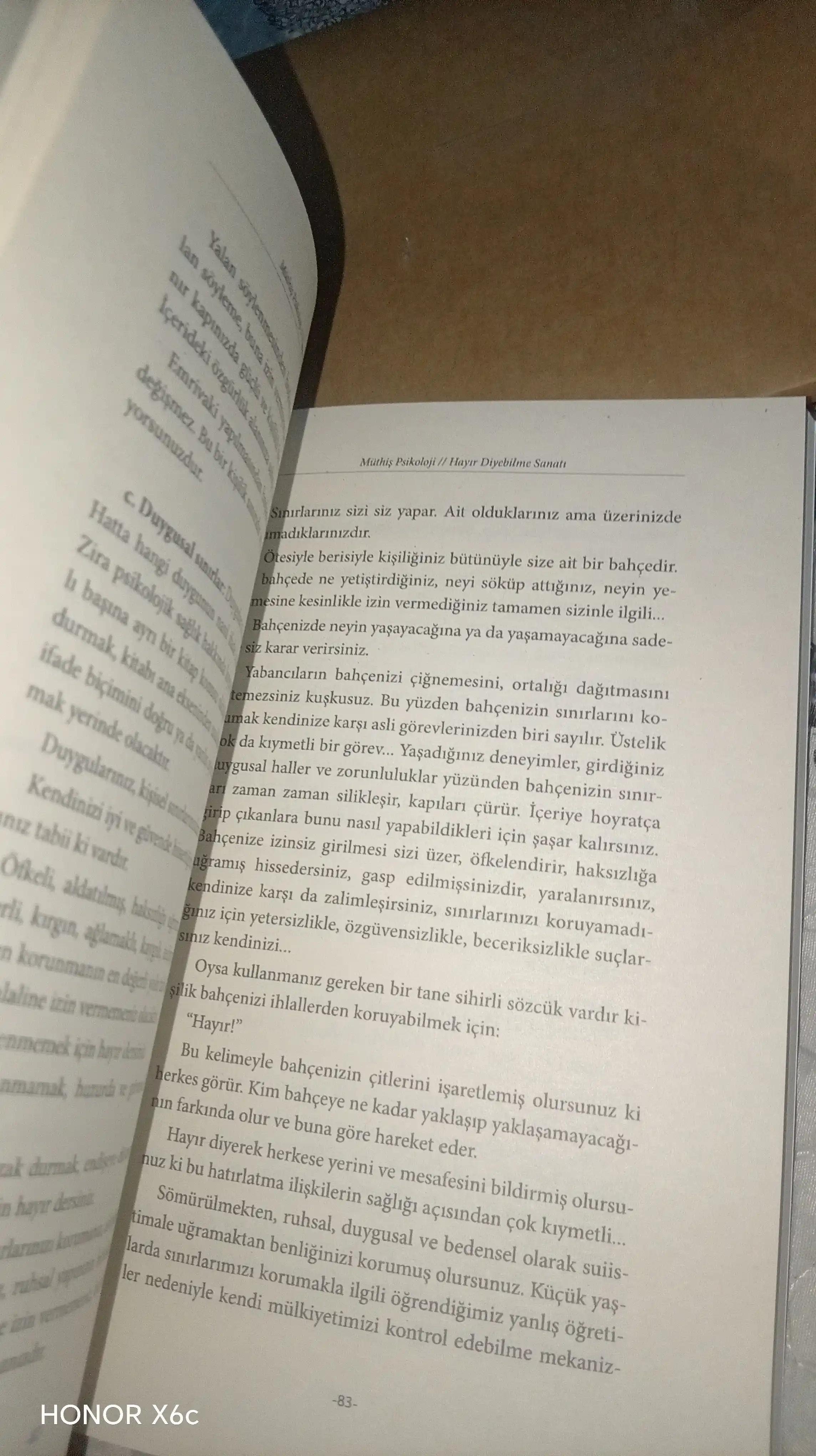 Hayir diyebilme sanati. Muthis Psokoloji (Книга на турецком языке)