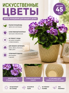 Lavanda